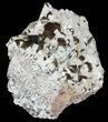 Smoky Quartz & Fluorite On Feldspar - China #32572-2